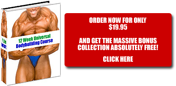 Order our Bodybuilding Collection - ON SALE!